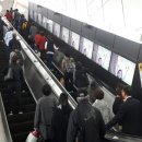 비상유도클럽 이미지