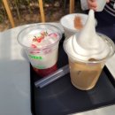 솔카페 이미지