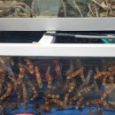 장땡으로가는길 이미지