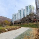 아이윤의원