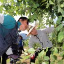 밀양시농업기술센터 이미지