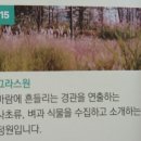 경기도 수원시 장안구 하률로(일부구간 어린이보호구역) | [수원의 힐링명소] 수원 영흥수목원,입장료,주차,이용시간,휴무일