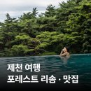 비비큐 안의점 | 포레스트 리솜 | 레스트리·사우나·온미당찜질방·해브나인스파 후기 / 제천 맛집 더 그릴720, 두꺼비식당