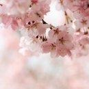 대하메디 이미지