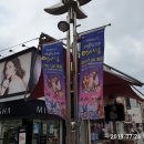 국민은행오거리~서문육거리 | 포항 중앙상가 야시장 개장 행사 (With 다비치, 엔플라잉) (2019-07-26)