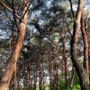 바우하우스인원주 | 원주독채펜션 바우하우스인원주 위치 영업시간 후기