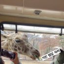 우주카월드자동차 이미지