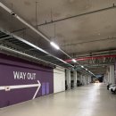 멍퍼피 | 위례 강아지 케이크 당일 예약 가능 포에버퍼피 크리스마스 케이크 후기