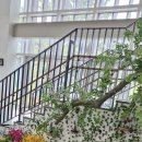 불암산나비정원 이미지