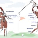 본 골프 이미지