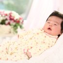 담휴
