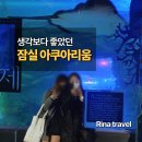 대진월드1 | [서울 송파] 롯데월드 아쿠아리움 후기, 사람 많았지만 분위기는 좋았습니다