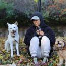 무지개민박 이미지