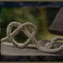 웰리힐리파크 관광단지 이미지