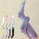 요가 D반 이미지