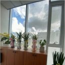 세무법인삼성 - 중구 을지로11길 15 | 세무법인삼성