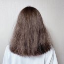 헤어닥터이정 | [탈모예방샴푸 닥터방기원 랩 샴푸 헤어토닉] 사용후기