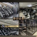 천호트레이딩