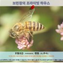 창의농장 | 카메론 하일렌즈 여행 추천! 브린창의 프라이빗 하우스 호텔 후기