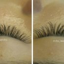 이미호아이래쉬 이미지