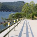 강동-천호-1237 이미지