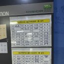 우쿨렐레와 함께하는 하루 | 인천 손도장발도장접시 체험 머디데이 송도 도자기공방 후기