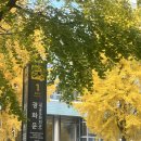 오스테리아 라디치 | 광화문 맛집, "오스테리아라디치", 광화문 파스타 후기, 광화문 데이트 맛집, 메뉴, 가격 , 분위기
