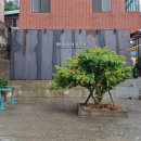 [부산] 메그네이트, 여기 꼭 가야 할 이유 613개 있음