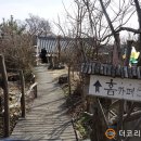 봄·초롱 하우스 이미지