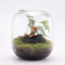 테라리움 이미지