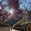 청운작은도서관 | 청운문학도서관 방문 후기