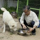 퍼스트독 이미지