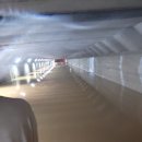 부산 침수된 지하차도에서 살아돌아온 사람의 인증샷 이미지
