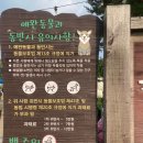 색동빈 이미지