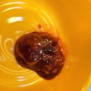속초 중앙시장 젓갈 맛집 권가네 젓갈 후기, 저염이라 더 맛있는 밥도둑