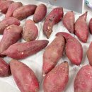 로얄사 | 내인생 최고 고구마 고구마계의 에르메스 고구메스 내돈내산 후기