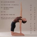 사하라동물병원 이미지