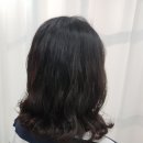 SC헤어
