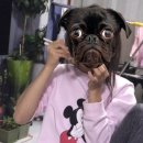 굽네치킨 조촌점 이미지