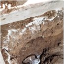 난향동-15 이미지