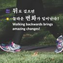 🔙 뒤로 걸으면 놀라운 변화가 일어난다! 🌟 뒤로 걷기의 놀라운 이점들 이미지