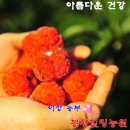 행복 울림 오카리나 이미지
