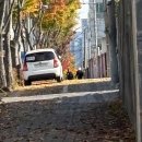 서구청사 본관앞 | 대구 실내 배드민턴장 올인스포츠 일일입장 친구들이랑 실컷 놀다온 후기