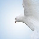 교회협 “SPC 사고 등 반복되는 죽음은 구조적 책임” 이미지