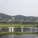 세현CC | 10월 긴 연휴의 시작일! 세현CC 골프 라운딩 후기!