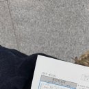 천안시 동남구청 | 천안 동남구청 혼인신고 후기🤍