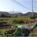 망나니골 이미지