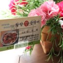 칠암산곰장어