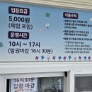 하이원 하늘아래 동물농장 이미지