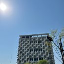 케이트리 K-TREE | 일산 킨텍스 바이 케이트리🛏️ (패밀리트윈룸, 고양종합운동장 콘서트 숙소 추천)